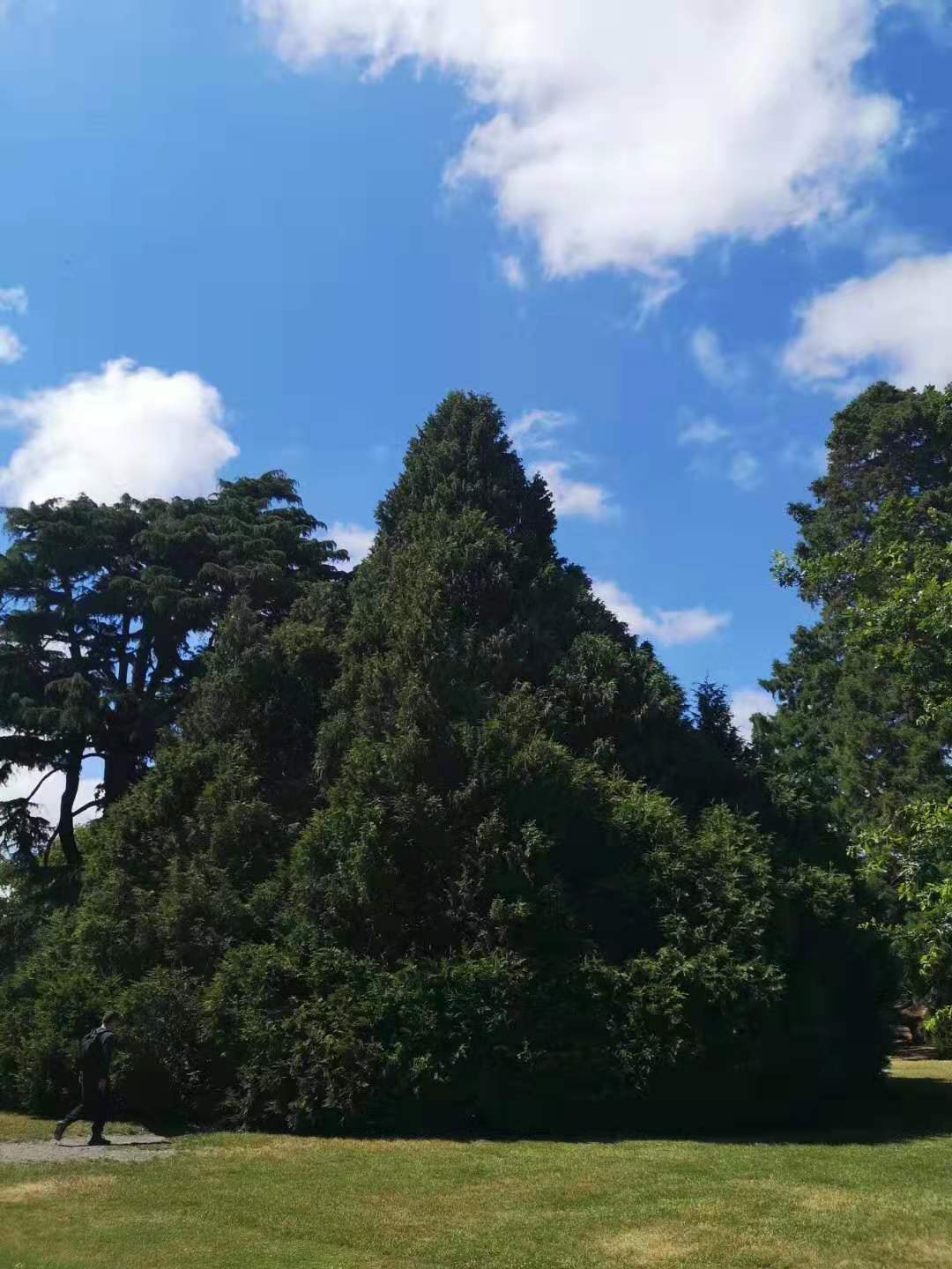 ΢��ͼƬ_20200104095647.jpg
